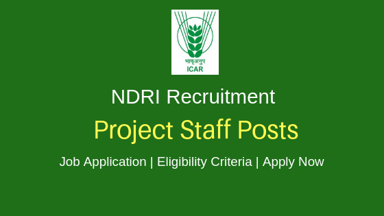 NDRI Recruitment